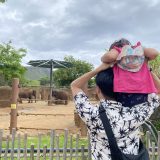 【子連れハワイ旅行】ホノルル動物園に行ったみた