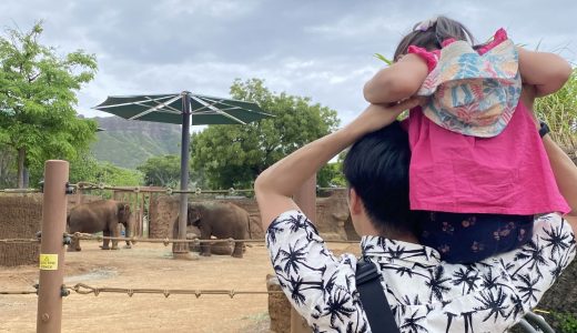 【子連れハワイ旅行】ホノルル動物園に行ったみた